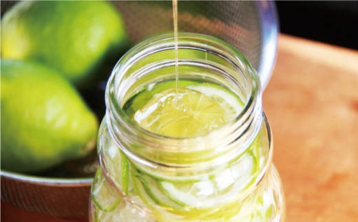 訳あり 愛媛 レモン （ グリーンレモン ） 5kg 7000円 柑橘 サイズ 不揃い 家庭用 檸檬 国産 フルーツ 果物 果実 産地直送 農家直送 数量限定 期間限定 特産品 瀬戸内 ワックス 防腐剤 不使用 果汁 人気 新鮮 レモネード 塩レモン レモン酢 レモンソース はちみつレモン レモンケーキ レモンスカッシュ レモンサワー レモン酎ハイ ビタミン 規格外 愛南町 愛媛県 果樹園みどり レモン レモン レモン レモン レモン レモン レモン