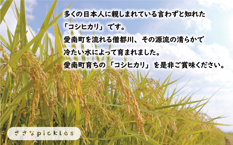 新米 令和6年産 定期便 10kg × 3回 コシヒカリ 合計 30kg お米 白米 こしひかり 米 こめ 精米 産地直送 国産 農家直送 期間限定 数量限定 特産品 令和6年度産 2024年産 大粒 もっちり 粘り 甘み おいしい おにぎり 人気 内祝い お祝い 贈答品 お返し プレゼント 土産 御礼 お礼 お取り寄せ 愛南町 愛媛県 ささなピクルス お米 お米 お米 お米 お米 お米 お米 お米 お米 お米 お米 お米 お米  お米  お米  お米  お米  お米  お米