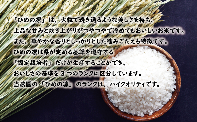 先行予約 新米 令和6年産 定期便 10kg × 6回 ひめの凜 合計 60kg 102000円 お米 白米 精米 米 こめ 産地直送 国産 農家直送 期間限定 数量限定 特産品 令和6年度産 2024年産 新品種 人気 ブランド 大粒 もっちり 甘み 冷めても おいしい おにぎり コシヒカリ に負けない 内祝い お祝い 贈答品 お返し プレゼント 土産 御礼 お礼 お取り寄せ 愛南町 愛媛県 お米 お米 お米 お米 お米 お米 お米 お米 お米 お米 お米 お米 お米 お米