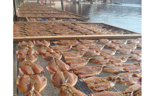 アジ・サバの干物詰め合わせ