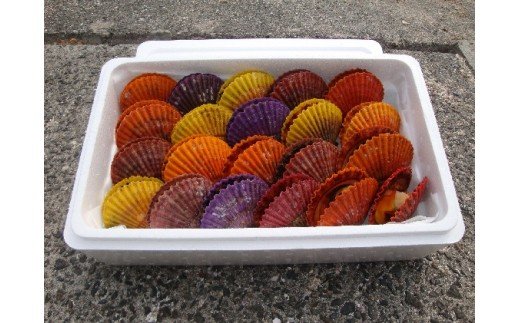 愛南ヒオウギ30枚 発送期間:12月1日～5月中旬(なくなり次第終了)