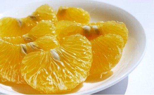 甘夏 10kg 11000円 みかん あまなつ 夏みかん グレープフルーツ だいだい 産地直送 国産 農家直送 糖度 果樹園 期間限定 数量限定 特産品 ゼリー マーマレード ピール ジュース デザート 人気 甘い おいしい フルーツ 果物 柑橘 蜜柑 愛南町 愛媛県 吉田農園