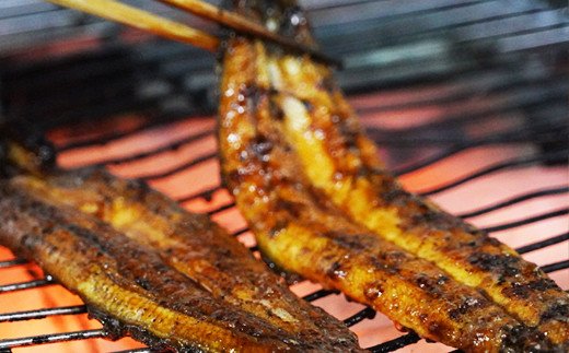 国産 うなぎ 手焼き 蒲焼き 2尾 ( 1尾 約120g / 合計 約240g ) 鰻 蒲焼 秘伝の タレ 山椒 付き セット 17000円 国内産 昭和49年創業 老舗の味 うな重 ひつまぶし うな丼 鰻丼 ギフト 贈答 贈り物 父の日 土用の丑の日 冷凍 高級 グルメ お取り寄せ 海鮮 老舗 亀一 愛媛県 愛南町