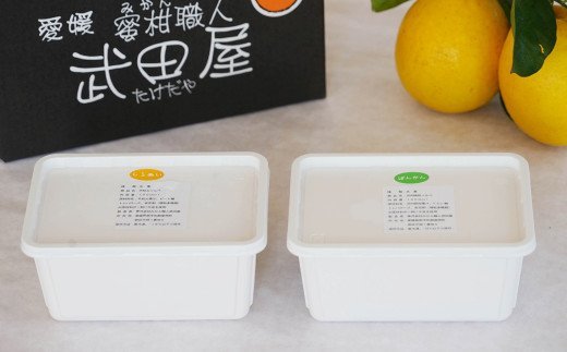 みかん職人が作った柑橘アイス1000ml×2種（河内晩柑・しらぬい）