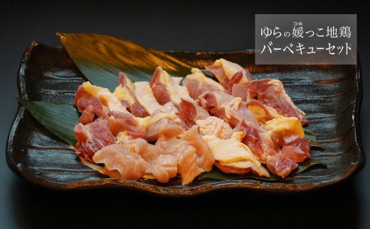 ゆらの媛っこ地鶏ＢＢＱセット（約1.5kg）