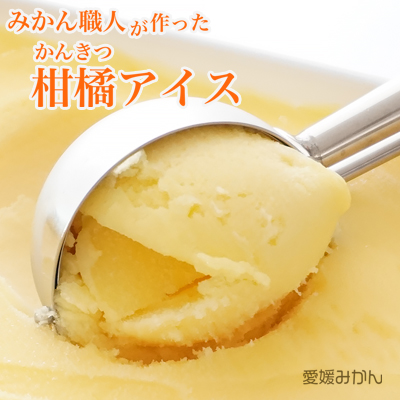 みかん職人が作った柑橘アイス1000ml×2種（愛媛みかん・河内晩柑）