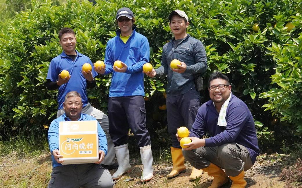 フルーツアイランド・マルエム直販の愛南産の河内晩柑10kg