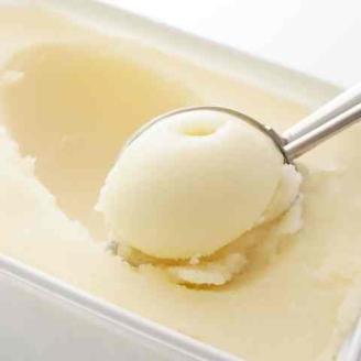 みかん職人が作った柑橘アイス1000ml×2（河内晩柑×２）