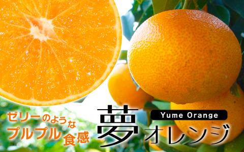 【特選品】みかん職人の夢オレンジ３kg みかん 果物 フルーツ 柑橘 くだもの 愛果28号 愛媛県 愛南町 みかん職人武田屋