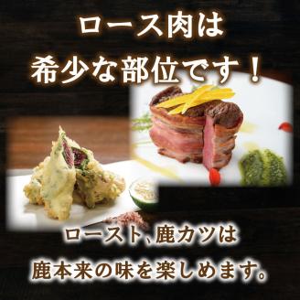 愛南ジビエ 鹿 モモ肉 500g ロース肉 500g セット (ジビエ,鹿,愛南ジビエ,もも肉,ジビエ,鹿,愛南ジビエ,もも肉,ジビエ,鹿,愛南ジビエ,もも肉,ジビエ,鹿,愛南ジビエ,もも肉ジビエ,鹿,愛南ジビエ,もも肉,ジビエ,鹿,愛南ジビエ,もも肉)