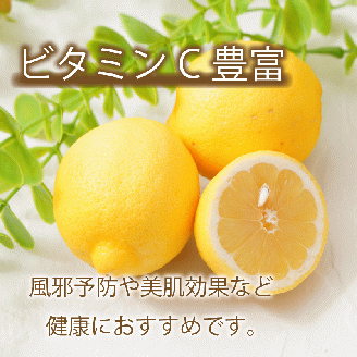 レモン 約 3kg 24個 檸檬 フルーツ 果物 くだもの 柑橘 国産 新鮮 減農薬 ノンワックス 防腐剤 不使用 ビタミンC 美容 美肌 健康 皮ごと 牡蠣 かき 魚 さかな 肉 にく スイーツ パスタ みかん 蜜柑  愛媛県 愛南町