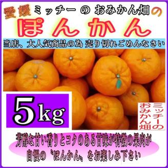 訳あり 家庭用 ぽんかん 5kg サイズ混合 7000円 みかん ポンカン ミカン mikan 国産 期間限定 数量限定 特産品 ジュース 人気 限定 愛南  新鮮 果実 さわやか 風味 甘い フルーツ 果物 柑橘 蜜柑 糖度 産地直送 農家直送 サイズミックス 果樹園 ミッチーのおみかん畑 愛南町 愛媛県