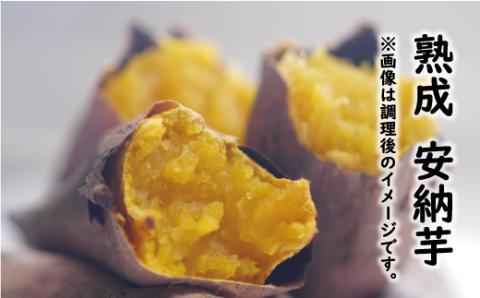 訳あり 熟成 さつまいも 食べ比べ 3種 セット 紅はるか 安納芋 シルクスイート 合計 15kg サイズ混合 サツマイモ 焼き芋 干し芋 丸干し 冷凍焼き芋 冷やし焼き芋 蜜芋 スイートポテト 愛南