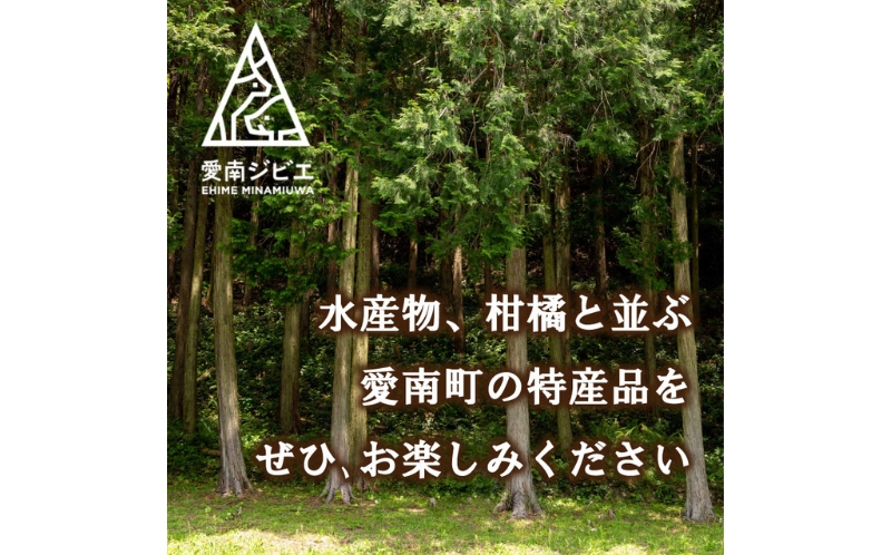 猪 スペアリブ 肉 600g （ 200g × 3パック ） 9000円 （ 5個 /  月 限定 ）イノシシ 冷凍 真空 パック 国産 天然 猪肉 精肉 ジビエ肉 カルシウム 低カロリー 肉 低脂肪 高たんぱく ヘルシー コラーゲン 愛媛県 愛南町 愛南ジビエ
