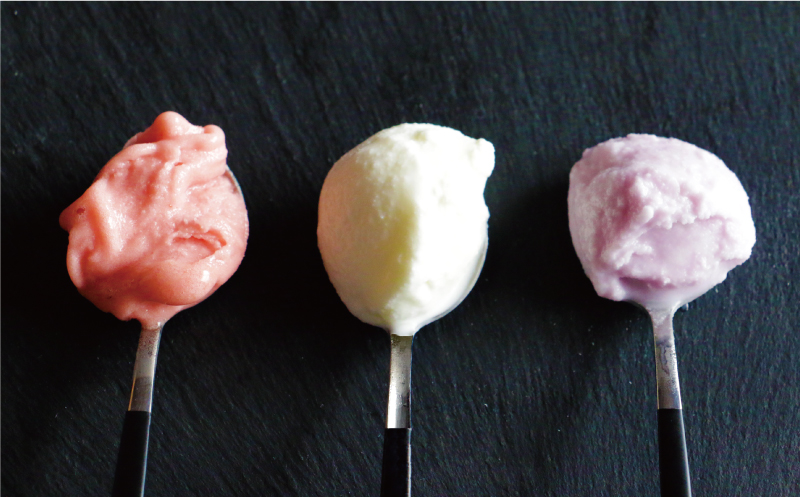 愛媛 の カップ アイス 20個 （ 10種 × 2個 ） 食べ比べ セット 温州 みかん 不知火 ポンカン はるか 美生柑 河内晩柑 紅まどんな 牛乳 いちじく 苺 紅茶 レモン キウイ いちご 久万茶 ブルーベリー 無花果 ぽんかん 愛南ゴールド あいなん ゴールド ジェラート