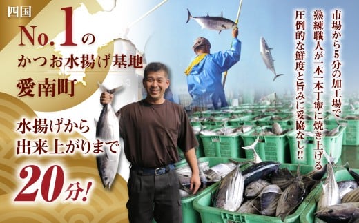 訳あり かつおのたたき 1kg 愛南ゴールド 真鯛 200g お試し セット 10000円 サイズ 不揃い 規格外 カツオたたき 鰹たたき 塩 オリーブオイル ソース 付き ハマスイ 愛媛県 愛南町
