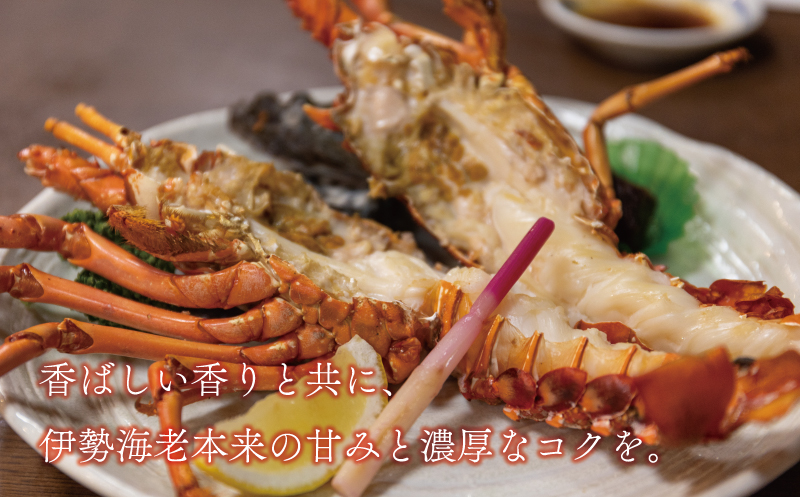 数量限定 選べる 内容量 豪華 海鮮福袋 伊勢海老 クエ セット 30000円 冷凍 人気 お楽しみ 海鮮セット 伊勢エビ 個包装 天然 いせえび 養殖 くえ ランキング 魚介 アラ 年末年始 お正月 おせち 贅沢 福袋 鍋 クエ鍋 しゃぶしゃぶ 味噌汁 ハマスイ 愛南町 愛媛県 伊勢海老300g+クエ(身100g/アラ200g)