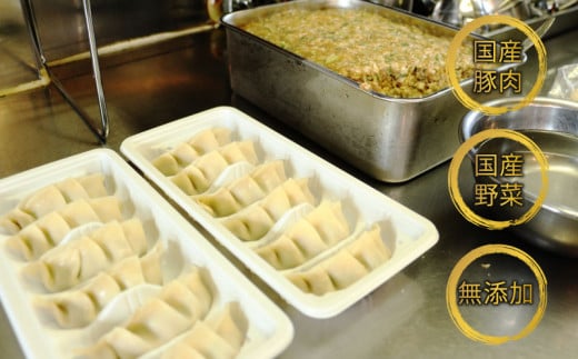 手作り 冷凍 ジャンボ 生餃子 合計約2.5kg(6個入り×12パック) 餃子 ギョウザ ギョーザ 惣菜 お好み焼き ひらの