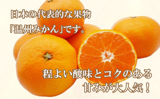 先行予約 訳あり 愛媛みかん 5kg 7000円 温州みかん こたつ みかん 温州 みかん mikan 蜜柑 愛媛 ミカン 完熟 家庭用 産地直送 国産 農家直送 糖度 期間限定 数量限定 特産品 ゼリー ジュース アイス 人気 限定 甘い 果実 果肉 フルーツ 果物 柑橘 先行 事前 予約 受付 ビタミン 健康 美味しい おいしい ジューシー サイズ ミックス くらもとファーム 愛南町 愛媛県 みかん みかん みかん みかん みかん みかん みかん みかん