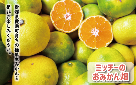 先行予約 訳あり 極早生 温州みかん 8kg 10000円 愛媛 みかん こたつ みかん 家庭用 産地直送 国産 農家直送 糖度 果樹園 期間限定 数量限定 特産品 ゼリー ジュース アイス 人気 限定 甘い 果実 果肉 フルーツ 果物 柑橘 蜜柑 先行 事前 予約 受付 ビタミン 健康 美容 美味しい ジューシー 規格外 サイズ ミックス 愛南町 愛媛県 ミッチーのおみかん畑 みかん みかん みかん みかん みかん みかん みかん みかん みかん みかん