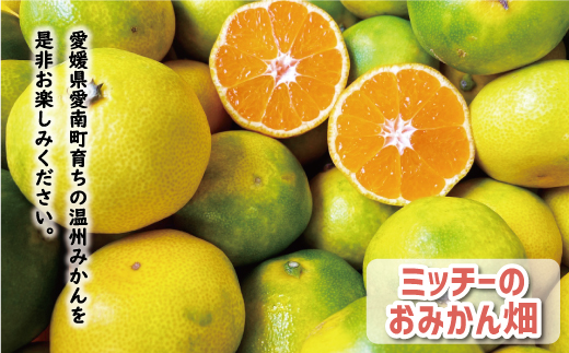 先行予約 訳あり 極早生 温州みかん 10kg 12000円 愛媛 みかん こたつ みかん 家庭用 産地直送 国産 農家直送 糖度 果樹園 期間限定 数量限定 特産品 ゼリー ジュース アイス 人気 限定 甘い 果実 果肉 フルーツ 果物 柑橘 蜜柑 先行 事前 予約 受付 ビタミン 健康 美容 美味しい ジューシー 規格外 サイズ ミックス 愛南町 愛媛県 ミッチーのおみかん畑 みかん みかん みかん みかん みかん みかん みかん みかん みかん みかん
