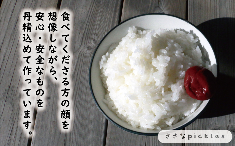 新米 令和6年産 定期便 10kg × 6回 コシヒカリ 合計 60kg お米 白米 こしひかり 米 こめ 精米 産地直送 国産 農家直送 期間限定 数量限定 特産品 令和6年度産 2024年産 大粒 もっちり 粘り 甘み おいしい おにぎり 人気 内祝い お祝い 贈答品 お返し プレゼント 土産 御礼 お礼 お取り寄せ 愛南町 愛媛県 ささなピクルス お米 お米 お米 お米 お米 お米 お米 お米 お米 お米 お米 お米 お米 お米 お米 お米 お米 お米