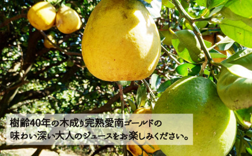 樹齢40年 愛南ゴールドジュース 720ml × 2本 河内晩柑 愛南ゴールド 焼酎 蒸留酒 果汁 無添加 ジュース 贈答 ギフト プレゼント 河内晩柑 ばんかん 柑橘 かんきつ 果汁 100% 愛媛 みかん 蜜柑 ゼリー 寒天 母の日 敬老の日 お歳暮 お中元 国産 愛南町青果市場