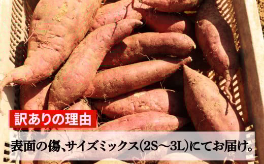 訳あり 熟成 紅はるか 5kg さつまいも いも 低温熟成 完全熟成収穫  M～2Lサイズ 高糖度 料理 国産 愛媛県 愛南町青果市場