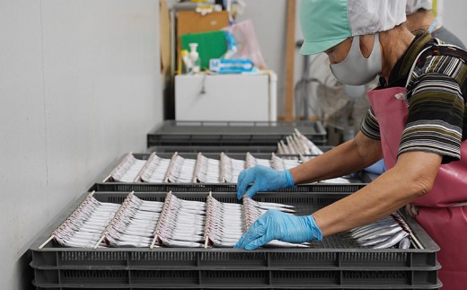 訳あり 魚の 丸干し ＆ 開き おまかせ セット 2.5kg 10000円 魚 海鮮 干物 無添加 ひもの ひらき 詰め合わせ 冷凍 丸干し 鯵 アジ 鯖 さば サバ 鰹 かつお カツオ 鯛 たい タイ 鰯 いわし イワシ 切り身 おつまみ おかず 惣菜 人気 珍味 グルメ 規格外  国産 新鮮 魚介 天然 乾き物 乾物 酒のあて 旬 季節 お中元 お歳暮 母の日 父の日 武久海産 愛南町 愛媛県 干物 ひもの 干物 ひもの 干物 ひもの 干物 ひもの 干物 ひもの