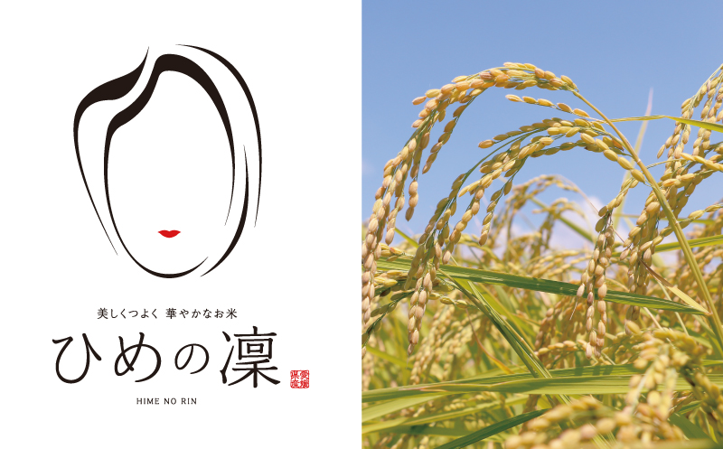 先行予約 新米 令和7年産 ひめの凜 10kg 27000円 お米 白米 精米 米 こめ 産地直送 国産 農家直送 期間限定 数量限定 特産品 先行 事前 受付 令和7年度産 2025年産 新品種 人気 ブランド 大粒 もっちり 甘み プレミアムクオリティ 冷めても おいしい おにぎり コシヒカリ に負けない 香り 内祝い お祝い 贈答品 プレゼント 土産 御礼 お礼 お取り寄せ 愛南町 愛媛県