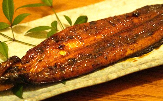 国産 うなぎ 手焼き 蒲焼き 1尾 ( 約120g ) お試し 鰻 蒲焼 秘伝の タレ 山椒 付き セット お試し 国内産 昭和49年創業 老舗の味 うな重 ひつまぶし うな丼 鰻丼 ギフト 贈答 贈り物 父の日 土用の丑の日 冷凍 高級 グルメ お取り寄せ 海鮮 魚介 老舗 お食事処 亀一 愛媛県 愛南町
