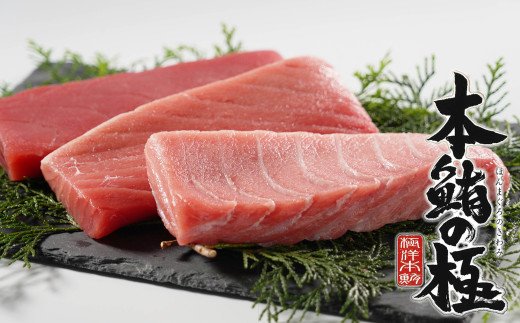 養殖生本鮪大トロ・中トロ・赤身セット（約1kg） 発送期間: 1月10日～12月20日 愛媛県 愛南町 まぐろ マグロ 鮪 トロ 海鮮 魚 魚介 赤身 トロ