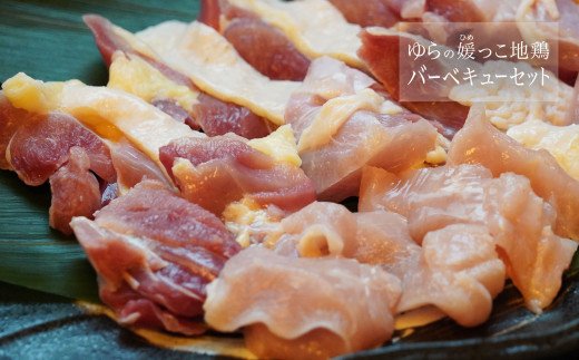 ゆらの媛っこ地鶏ＢＢＱセット（約1.5kg）