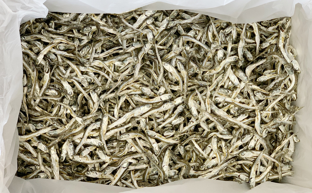 特選海の幸自然の味 小羽 いりこ