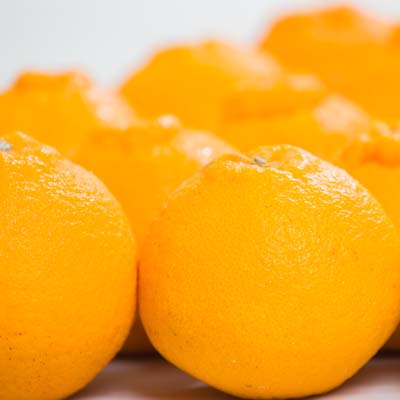 【家庭用】愛南フルーツの不知火５kg