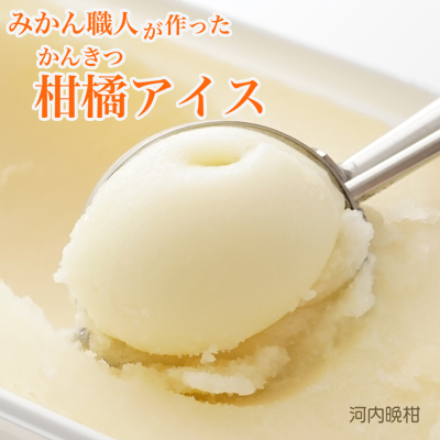 みかん職人が作った柑橘アイス1000ml×2種（愛媛みかん・河内晩柑）