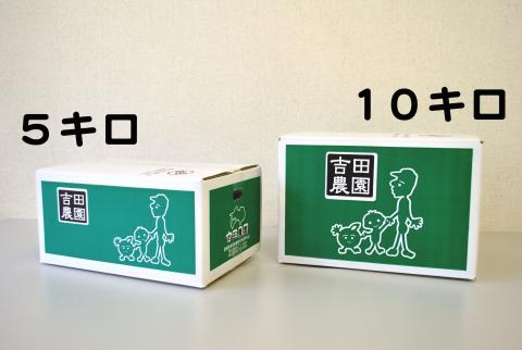 数量限定 先行予約 訳あり 河内晩柑 10kg 12000円 みかん わけあり かわちばんかん 愛南ゴールド あいなん ゴールド 夏 文旦 和製 グレープフルーツ 家庭用 産地直送 国産 農家直送 期間限定 数量限定 ビタミン 健康 おいしい 特産品 ゼリー ジュース アイス 等に 人気 限定 さわやか 甘い フルーツ 果物 柑橘 mikan 蜜柑 ミカン 規格外 吉田農園 愛南町 愛媛県