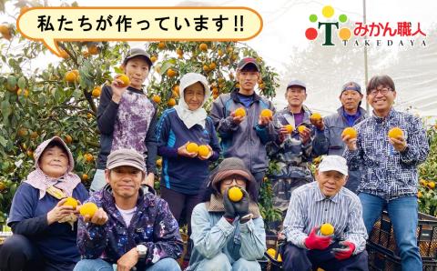 【特選品】みかん職人の夢オレンジ３kg みかん 果物 フルーツ 柑橘 くだもの 愛果28号 愛媛県 愛南町 みかん職人武田屋