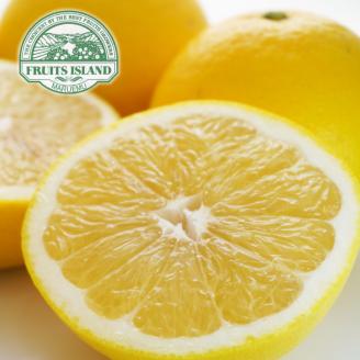 先行予約 訳あり 美生柑 みしょうかん 約5kg 河内晩柑 不揃い 大小ミックス 傷あり ばんかん フルーツ