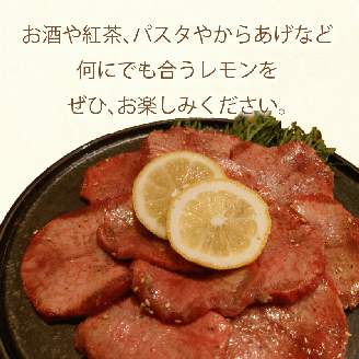 レモン 約 3kg 24個 檸檬 フルーツ 果物 くだもの 柑橘 国産 新鮮 減農薬 ノンワックス 防腐剤 不使用 ビタミンC 美容 美肌 健康 皮ごと 牡蠣 かき 魚 さかな 肉 にく スイーツ パスタ みかん 蜜柑  愛媛県 愛南町