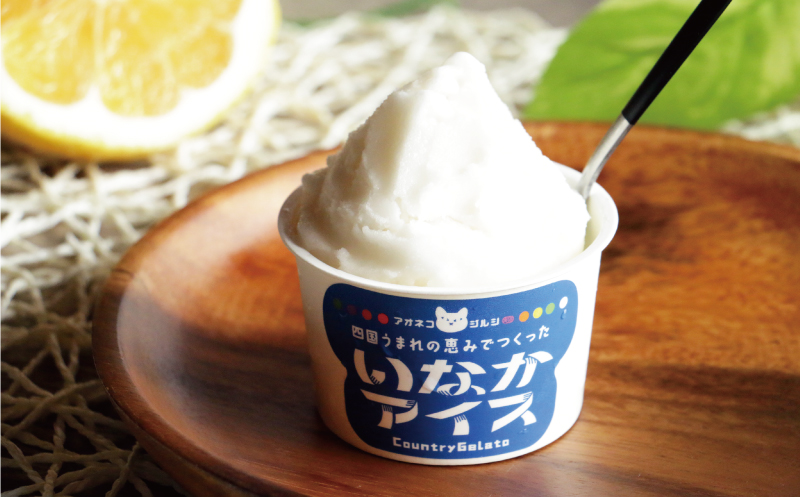 愛媛 の カップ アイス 20個 （ 10種 × 2個 ） 食べ比べ セット 温州 みかん 不知火 ポンカン はるか 美生柑 河内晩柑 紅まどんな 牛乳 いちじく 苺 紅茶 レモン キウイ いちご 久万茶 ブルーベリー 無花果 ぽんかん 愛南ゴールド あいなん ゴールド ジェラート