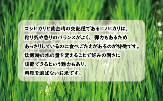 先行予約 新米 令和6年産 定期便 4回 試せる 4種 合計 20kg コシヒカリ ひめの凛 ヒノヒカリ にじのきらめき 5kg × 4回 お米 白米 精米 こしひかり 低温 貯蔵庫 産地直送 国産 農家直送 期間限定 数量限定 特産品 先行 事前 予約 受付 令和6年度産 2024年産 新品種 大粒 もっちり 粘り 甘み おいしい おにぎり 贈答品 プレゼント 愛南町 愛媛県 マルハラファーム 新米 お米 白米 精米 新米 お米 白米