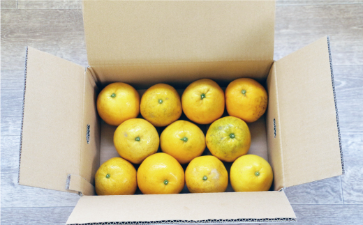 訳あり 河内晩柑 3.5kg 5000円 フルーツ 柑橘 蜜柑 規格外 愛南町 マルハラファーム