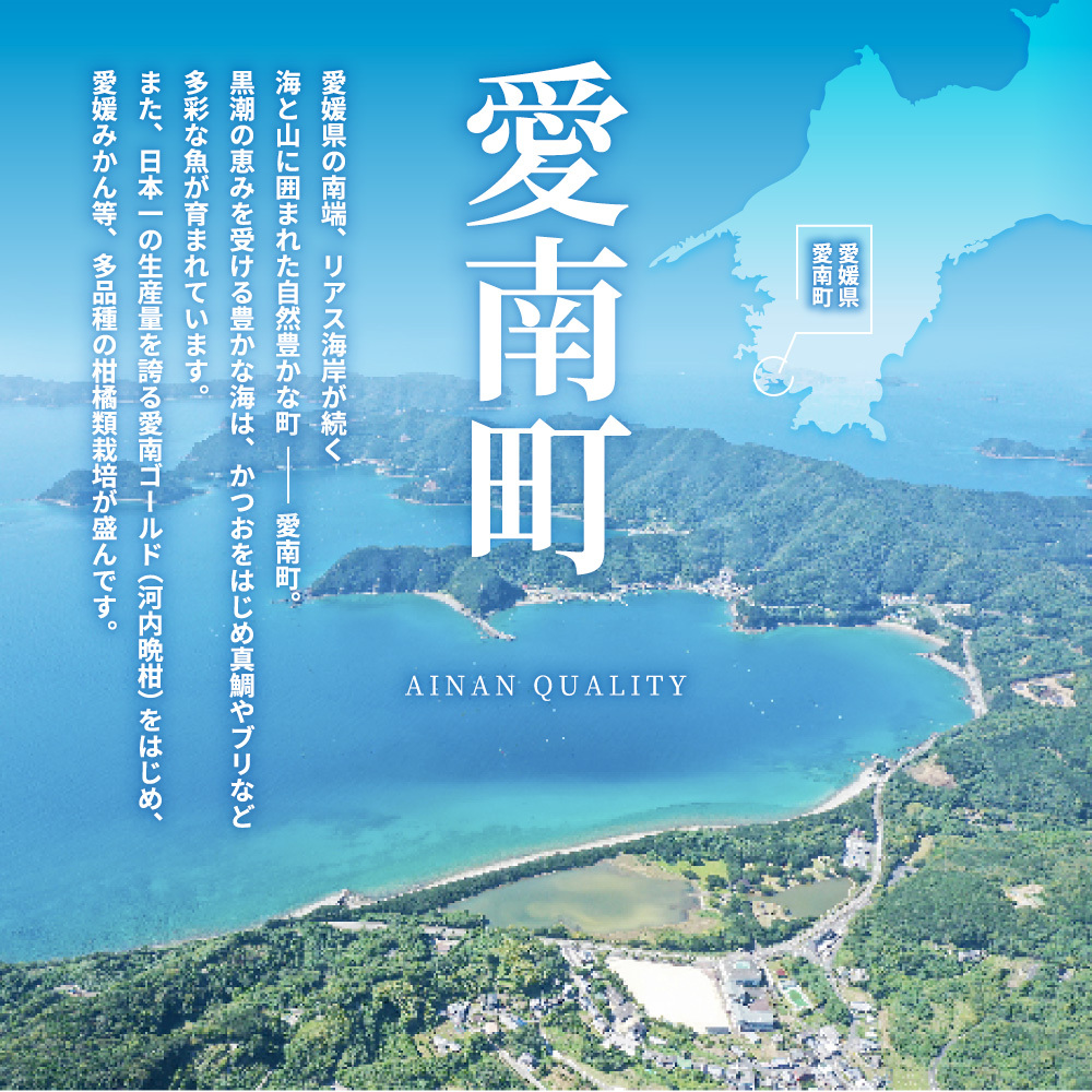 純 麦みそ 吟みそ 粗ずり 700g × 4パック マルヤス味噌 愛媛県 愛南町