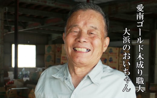 愛南ゴールド ( 河内晩柑 ) 6kg 樹齢30年 木成り 完熟プレミアム 柑橘 みかん 和製 グレープフルーツ 完熟 常温 愛南町青果市場 愛媛県 発送: 7月下旬～ (なくなり次第終了)