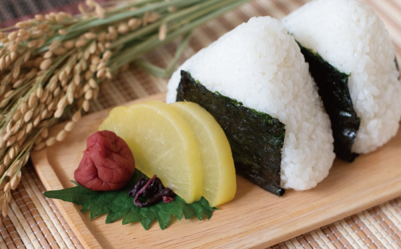 先行予約 新米 令和7年産 コシヒカリ 10kg 24000円 お米 白米 精米 米 こめ 産地直送 国産 農家直送 期間限定 数量限定 特産品 先行 事前 受付 令和7年度産 2025年産 もっちり 粘り 甘み おいしい おにぎり こしひかり 内祝い お祝い 贈答品 お返し プレゼント ギフト 土産 御礼 お礼 お取り寄せ 田中均 愛南町 愛媛県