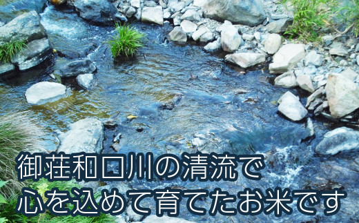 先行予約 新米 令和6年産 定期便 10kg × 4回 ひめの凜 合計 40kg 68000円 お米 白米 精米 米 こめ 産地直送 国産 農家直送 期間限定 数量限定 特産品 事前 令和6年度産 2024年産 新品種 人気 ブランド 大粒 もっちり 甘み 冷めても おいしい おにぎり コシヒカリ に負けない 内祝い お祝い 贈答品 お返し プレゼント 土産 御礼 お礼 お取り寄せ 愛南町 愛媛県 お米 お米 お米 お米 お米 お米 お米 お米 お米 お米 お米 お米