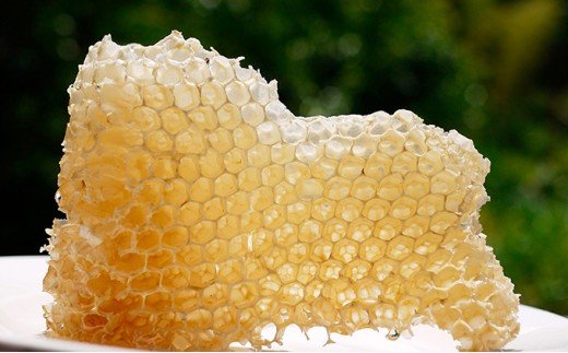 愛南育ち 吉田農園 河内晩柑はちみつ