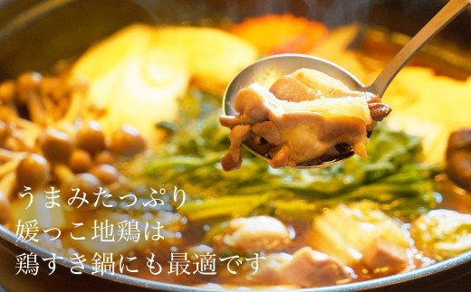 ゆらの媛っこ地鶏ＢＢＱセット（約1.5kg）