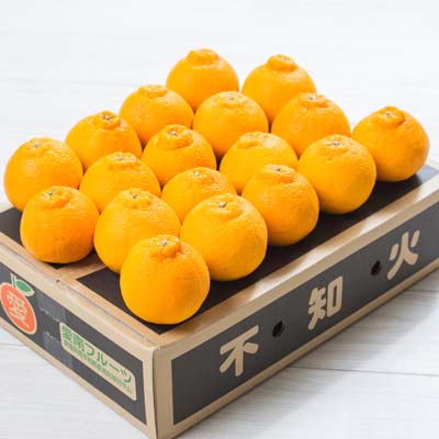 【家庭用】愛南フルーツの不知火５kg